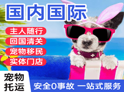 临沧博尚空运国际宠物托运 【国